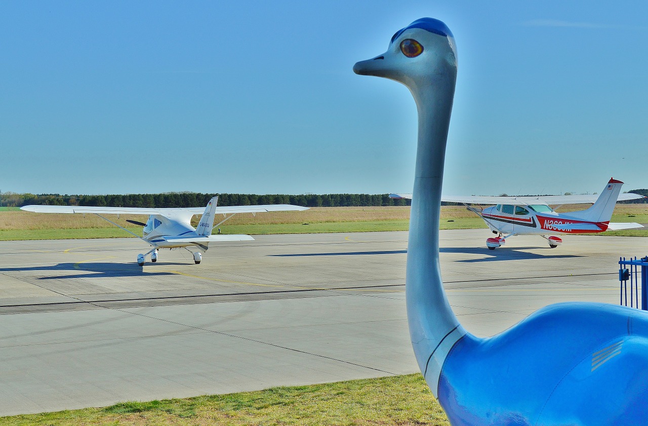 airport sport-piloting aircraft mascot free photo