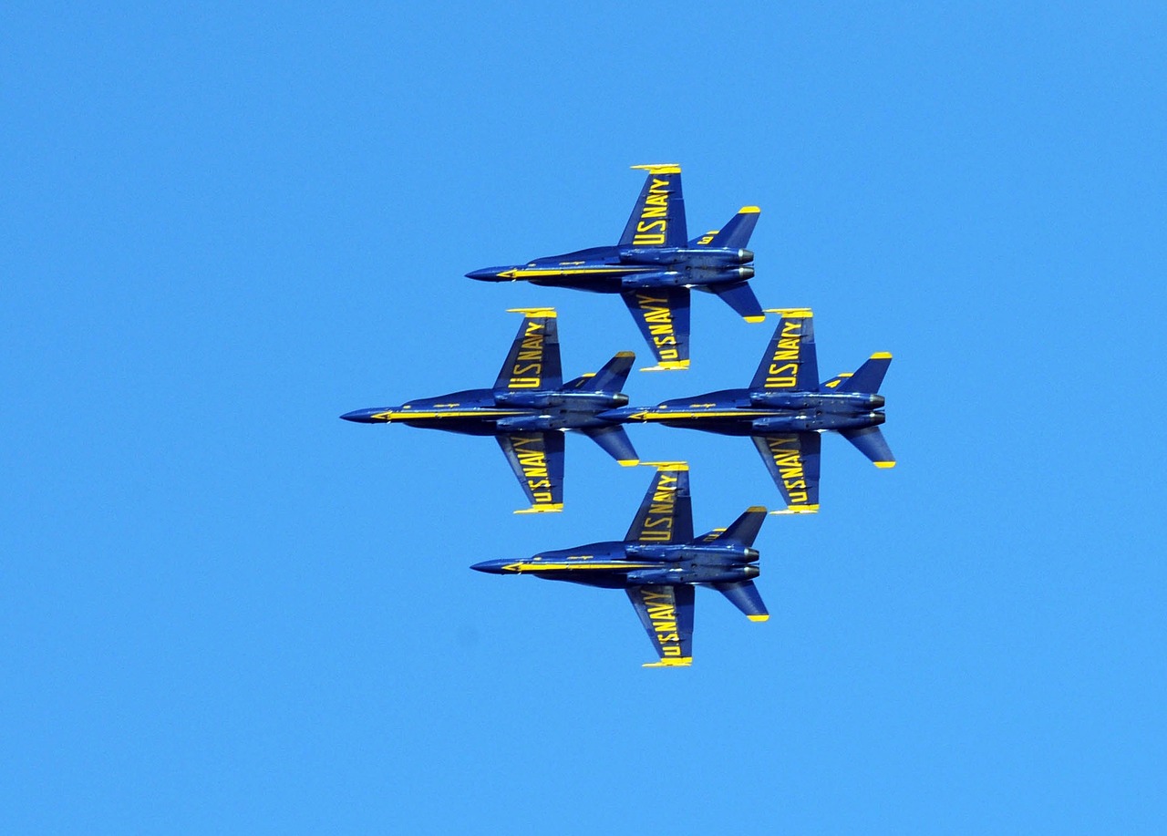 airshow airplane blue angels free photo