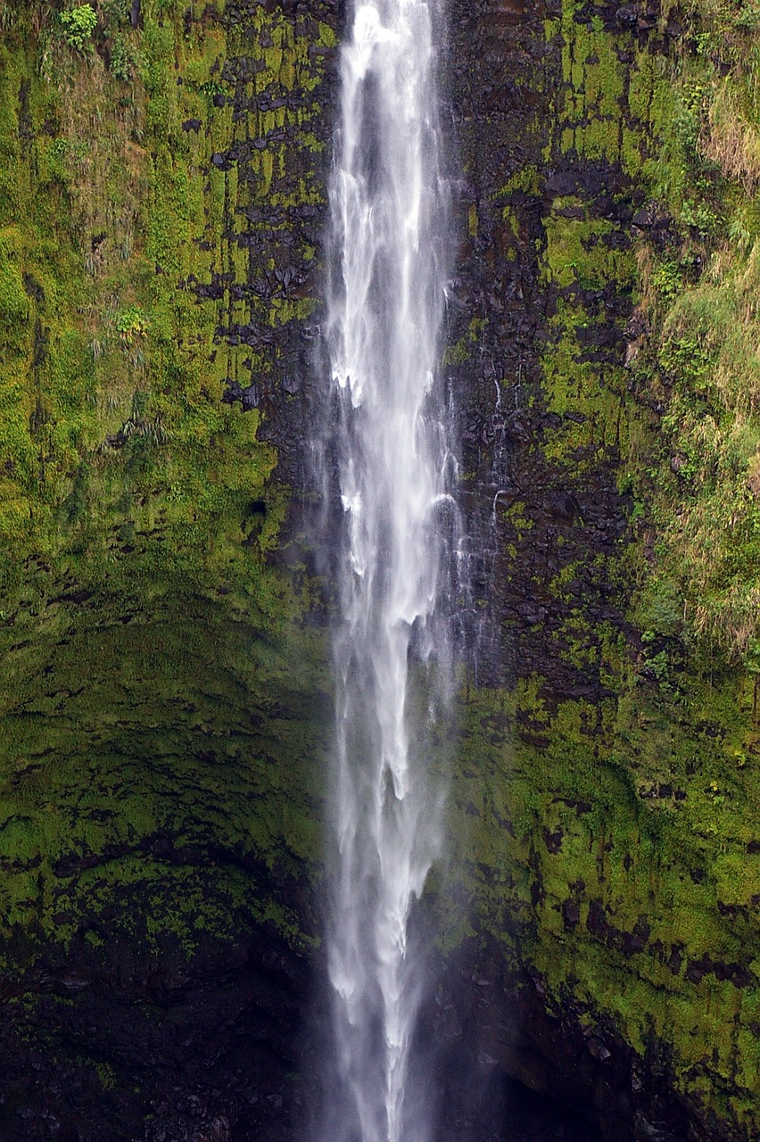 akaka falls hawaii big island free photo