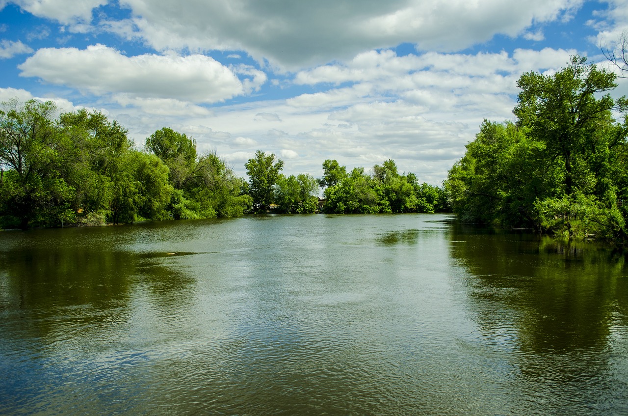 akhtuba astrahanskaia spring free photo