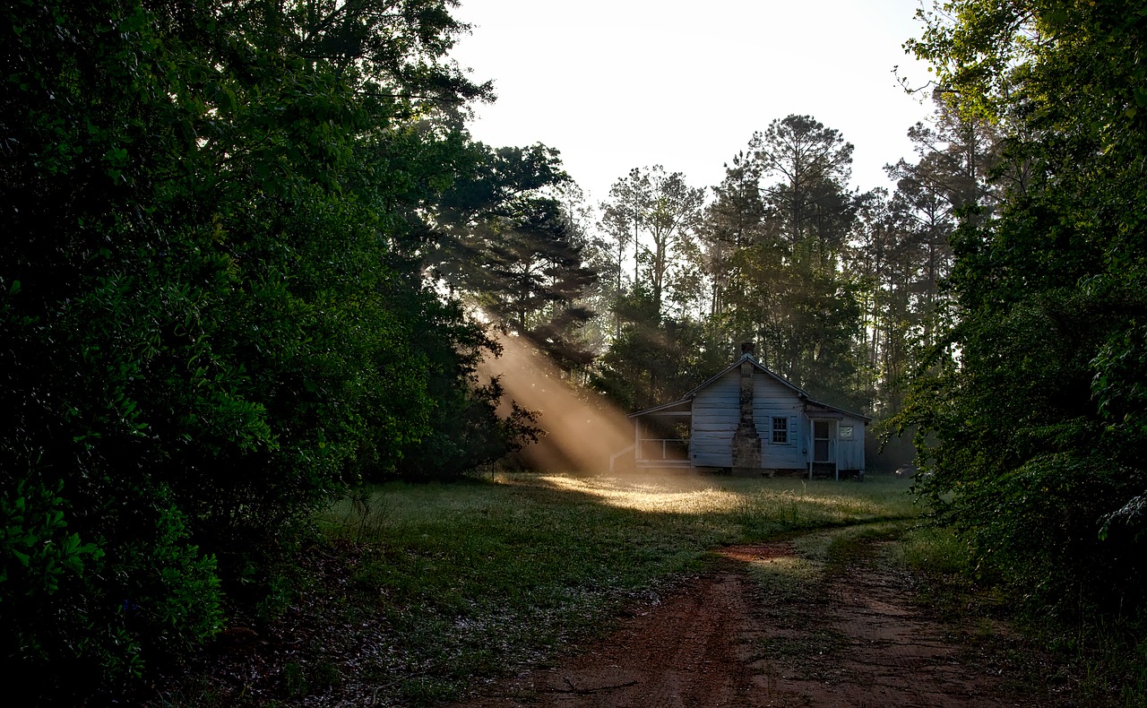 alabama landscape dawn free photo