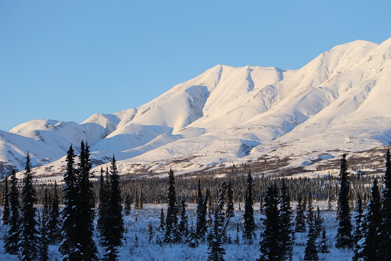 alaska mountain white free photo
