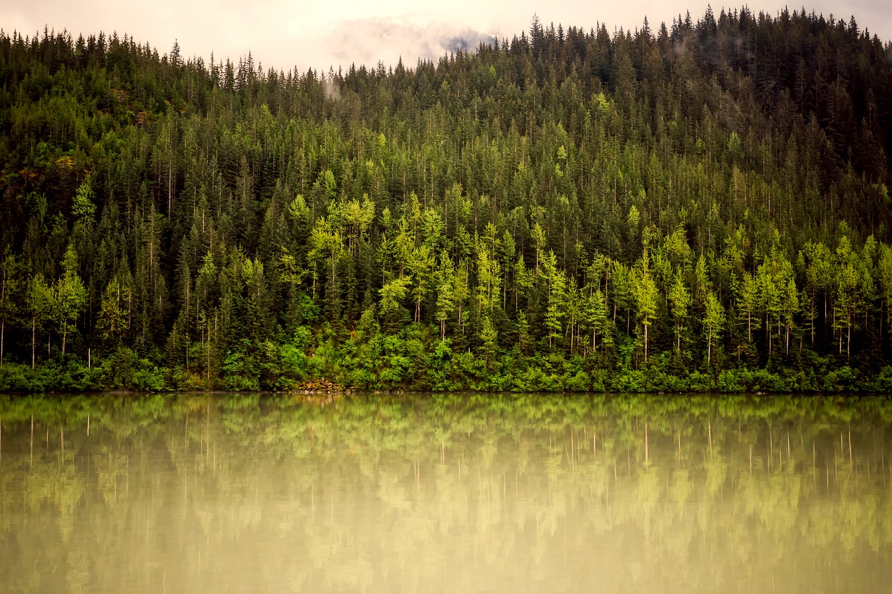 alaska landscape fog free photo