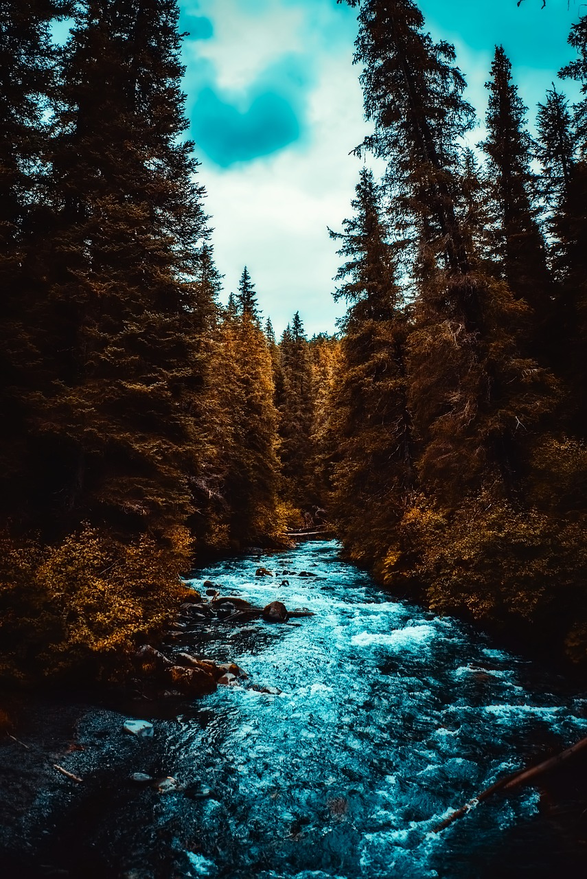 alaska landscape stream free photo