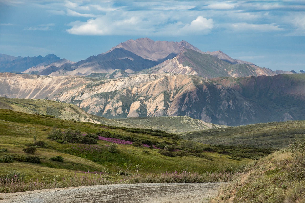 alaska  denali  national park free photo