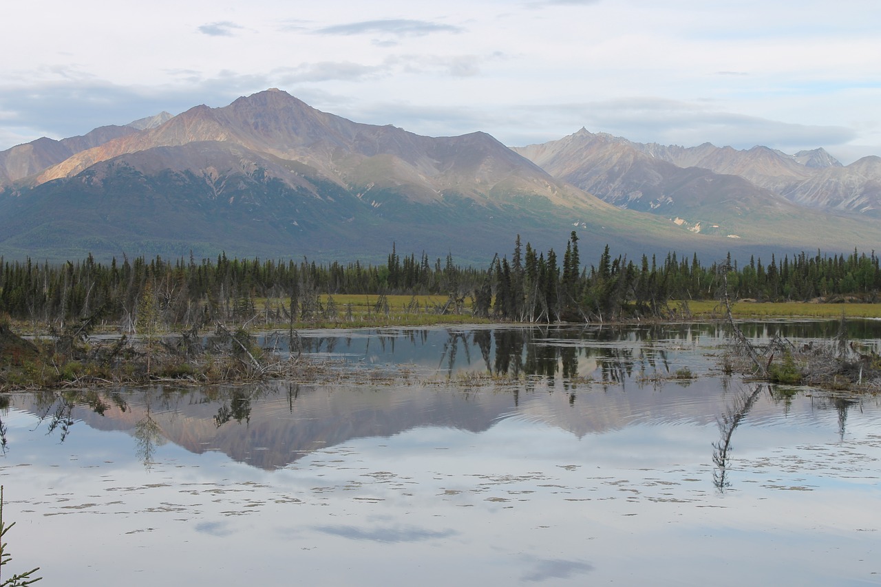 alaska  reflection  wilderness free photo