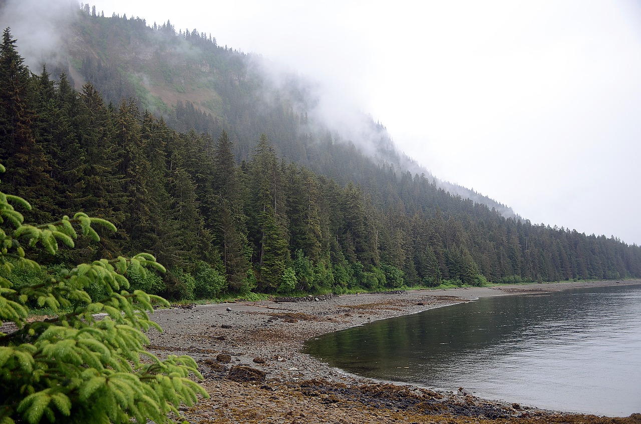 alaska  shoreline  landscape free photo