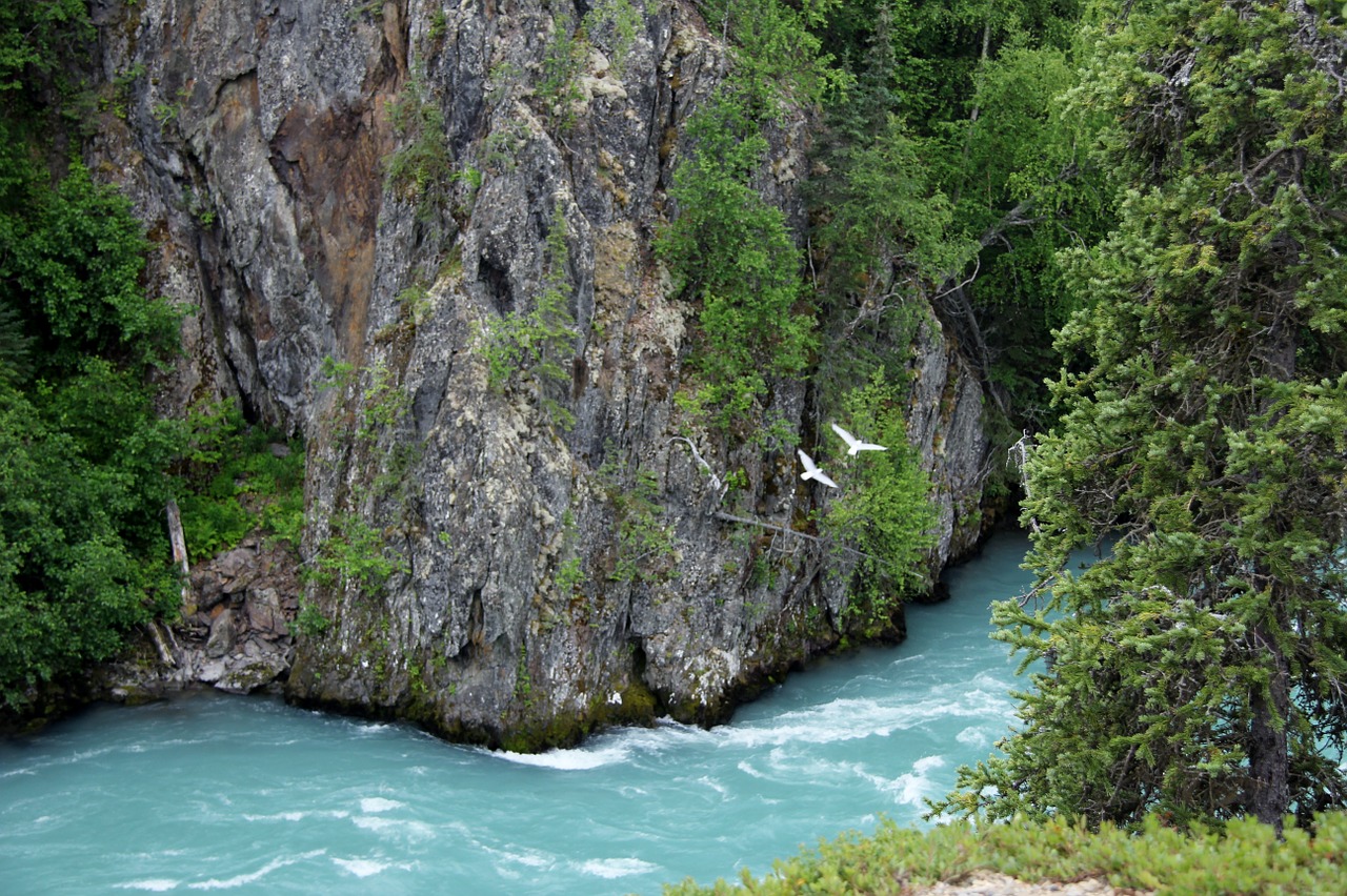 alaska landscape wilderness free photo