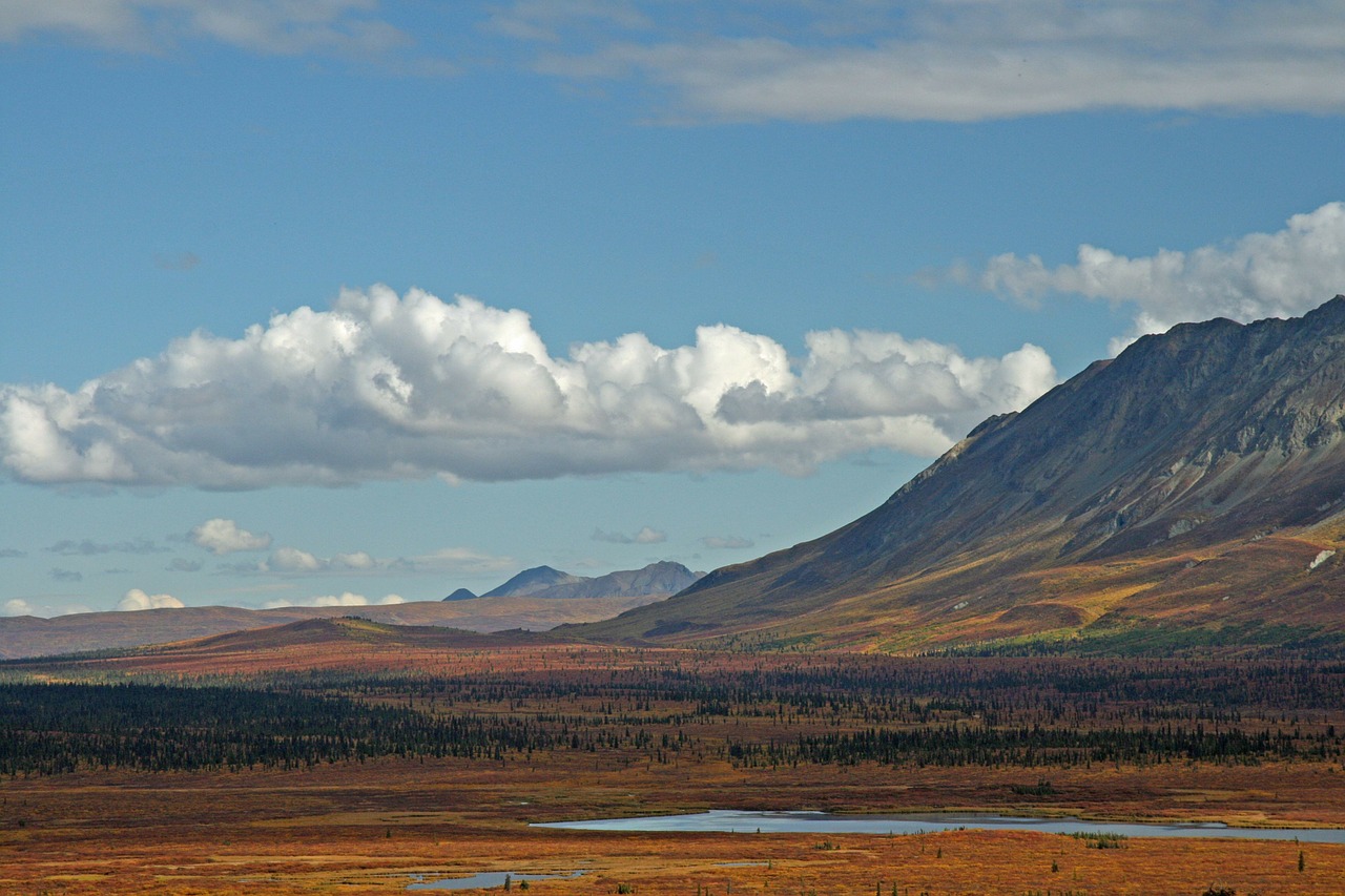 alaska wilderness mountain free photo