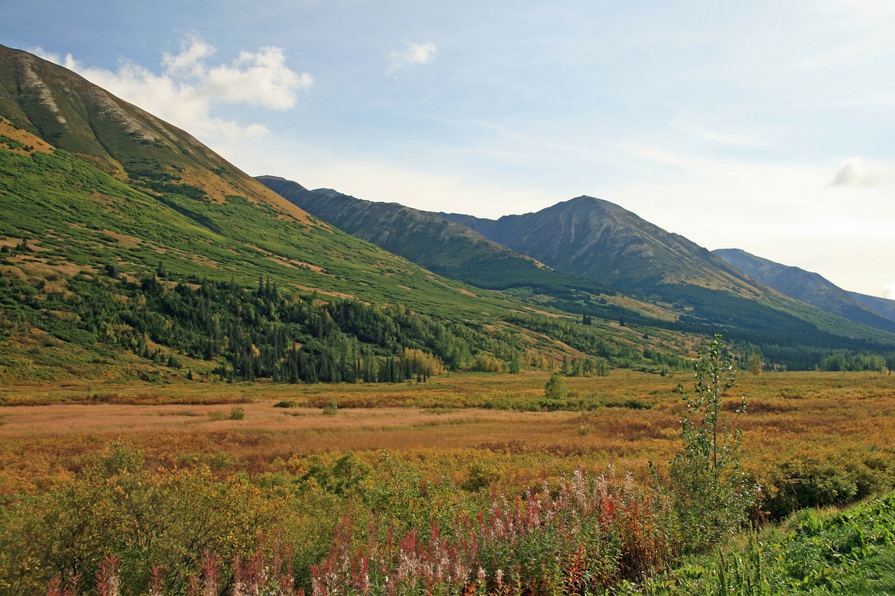 alaska wilderness mountain free photo