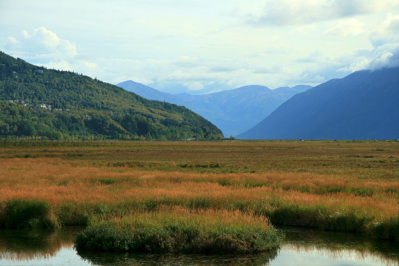 alaska tundra mountains free photo