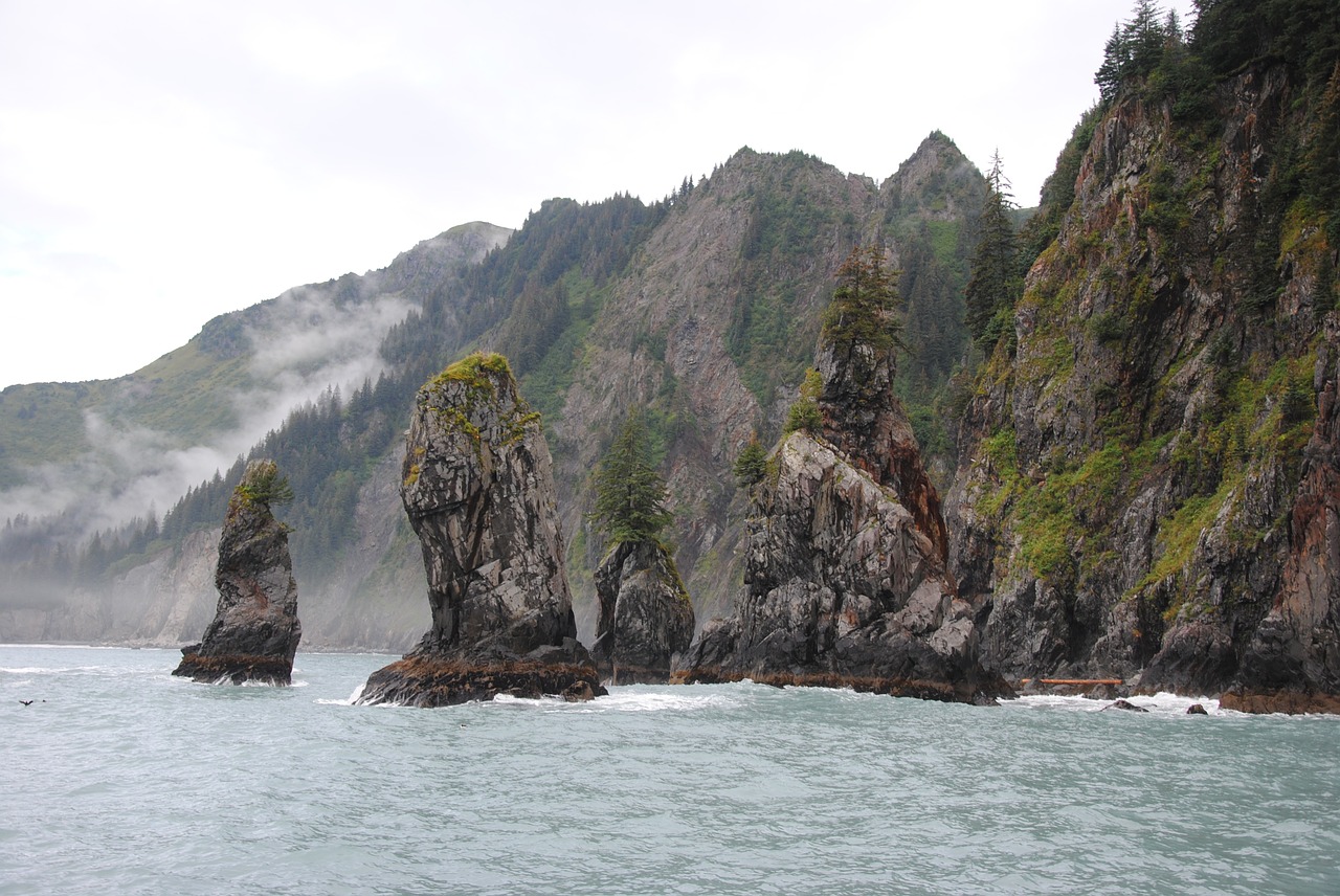 alaska nature wilderness free photo