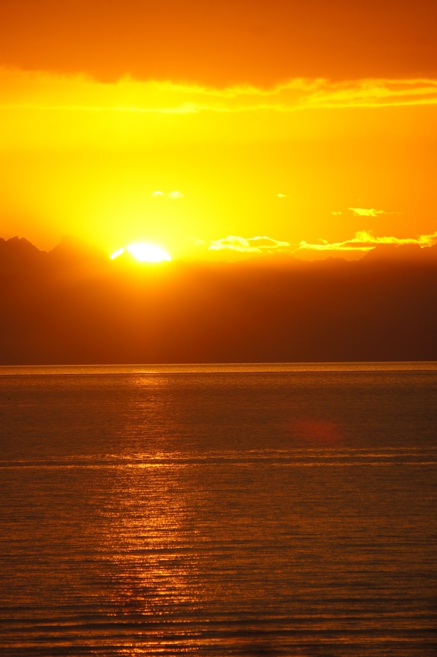 alaska cook's inlet coastal free photo