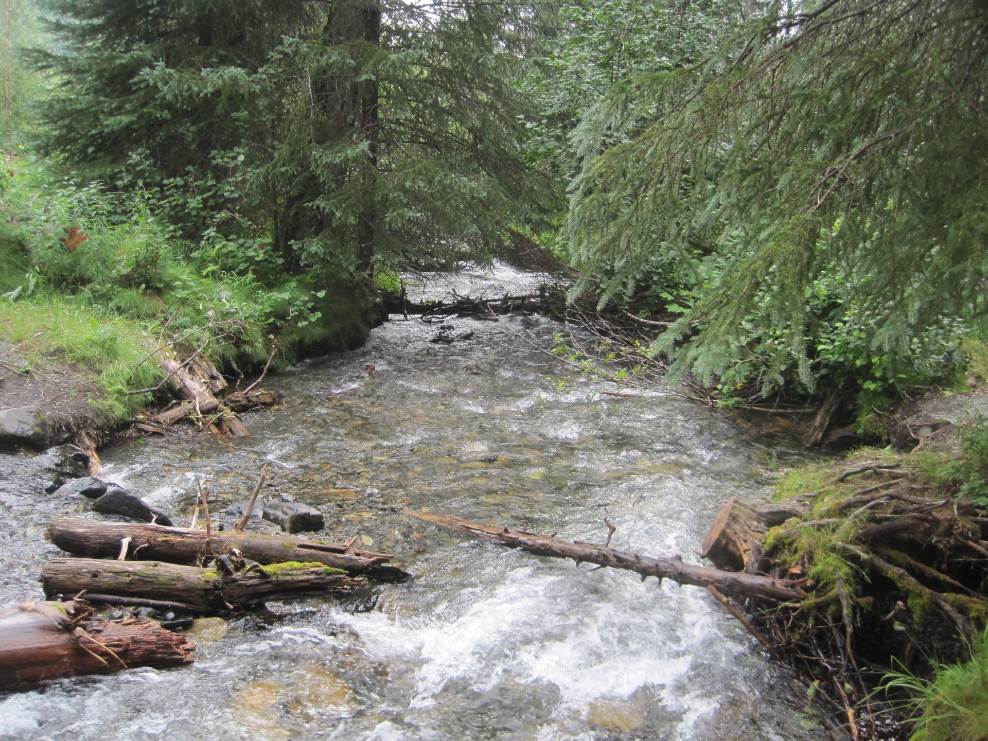 stream alaska water free photo