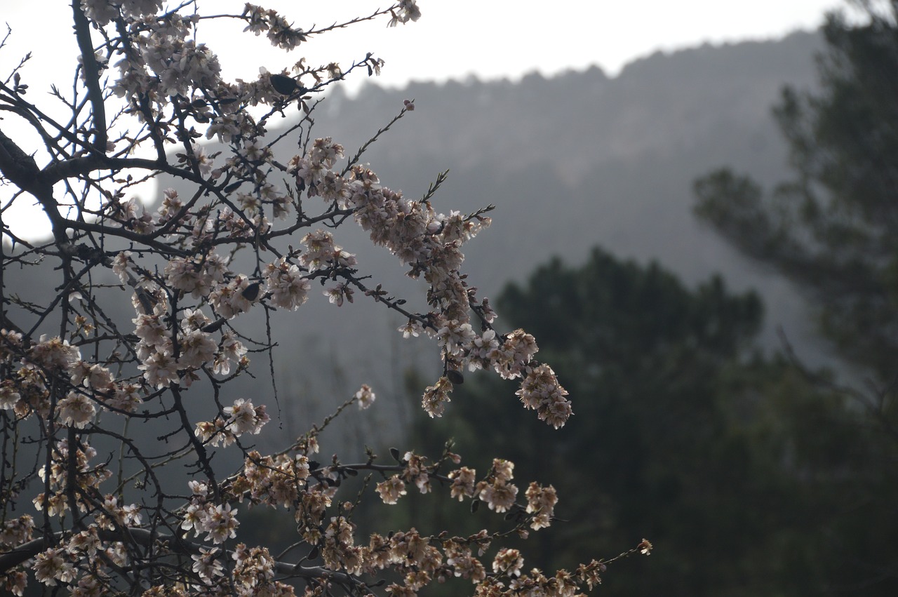 albacete sierra water waterfall free photo