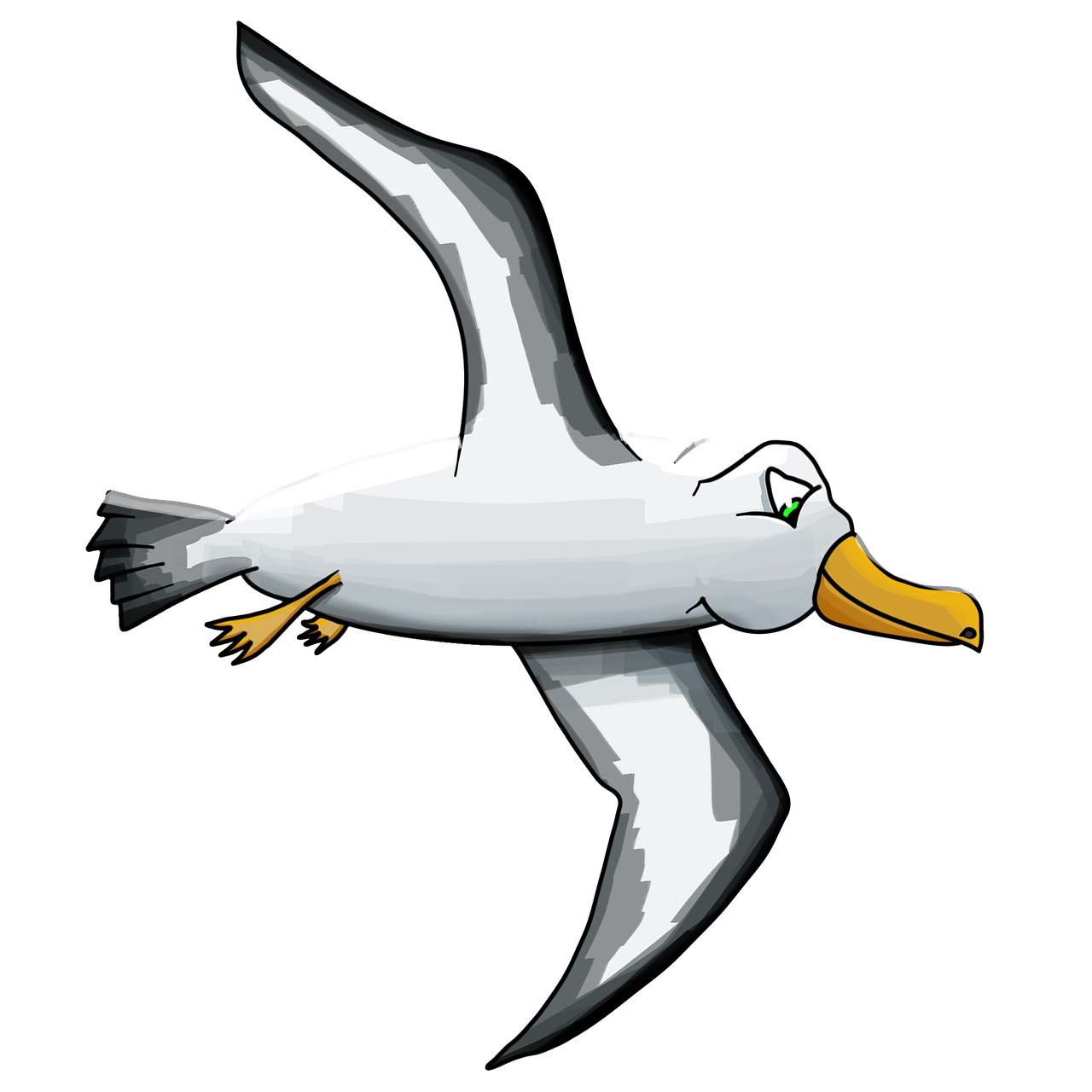 albatross bird seagull free photo