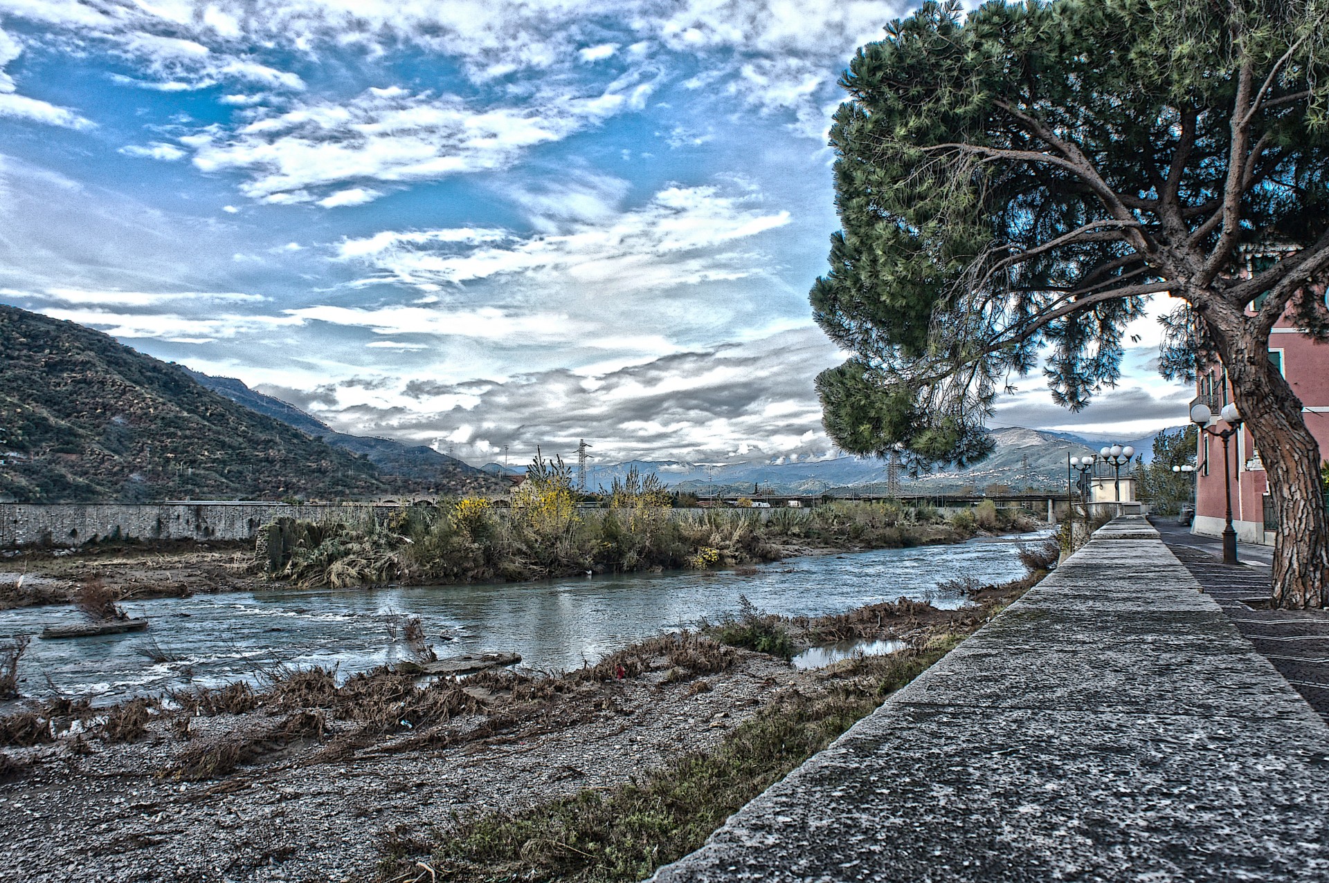 centa albenga liguria river shore pine riverbank arroscia free photo