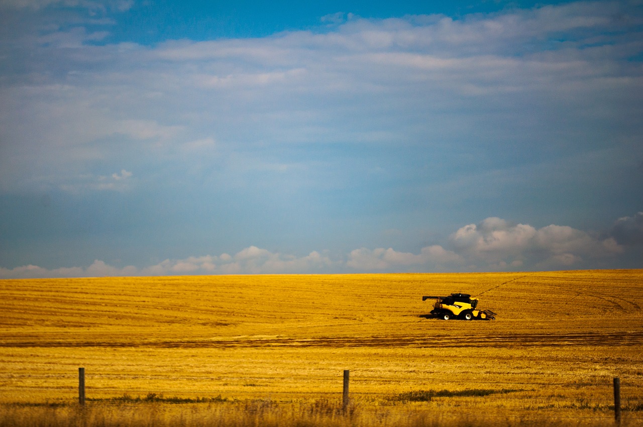 alberta  tractor  fields free photo