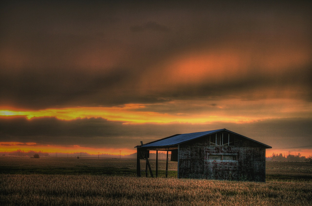 alberta canada sunset free photo