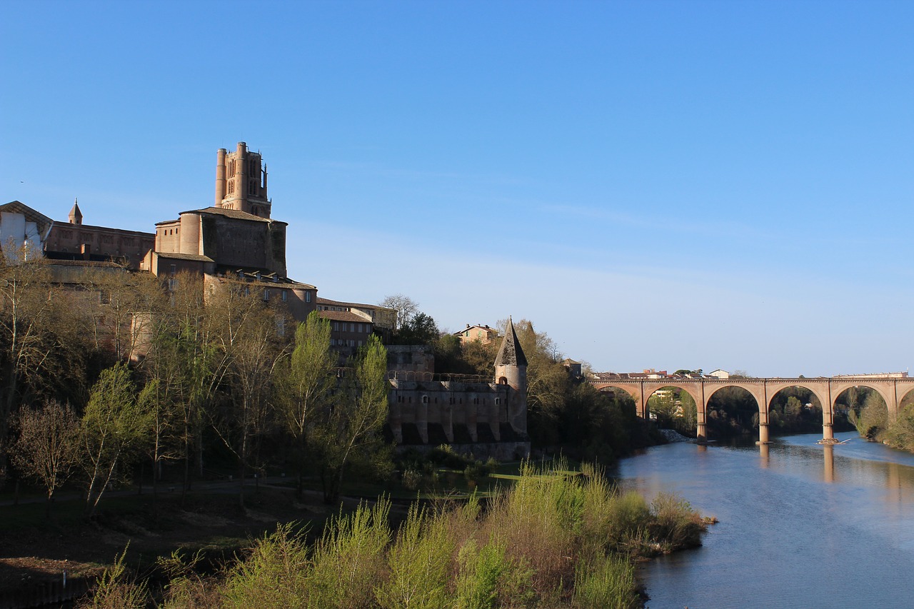 albi  pink  sky free photo