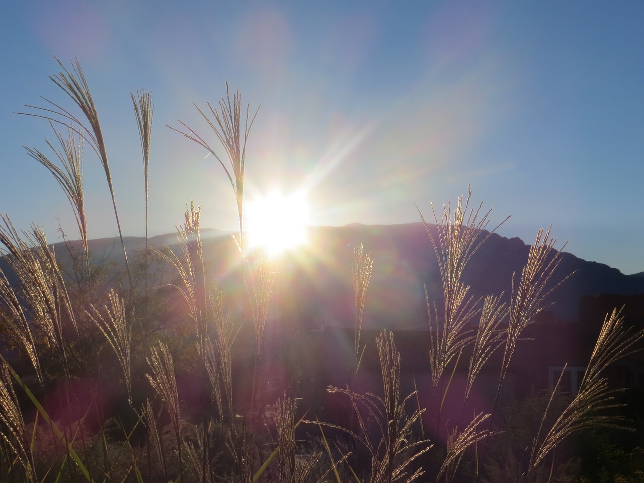 albuquerque sandia mountain free photo