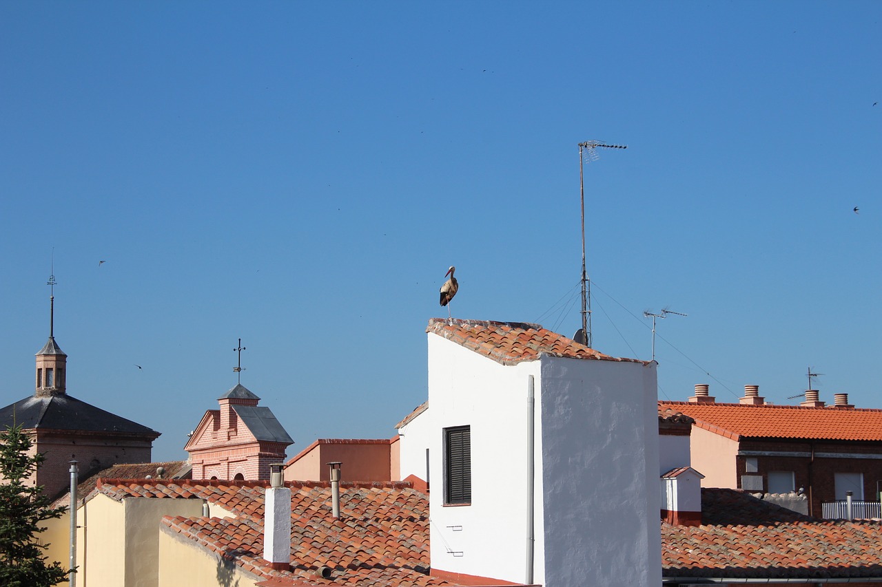 roofs alcalá stork free photo