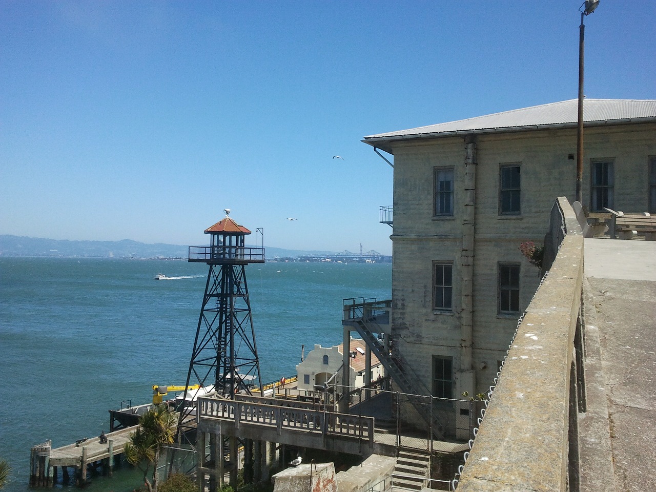 alcatraz view san francisco free photo