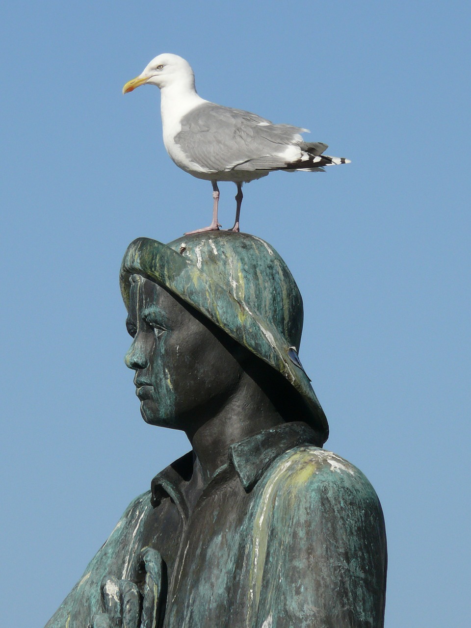 ålesund norway norway gull free photo