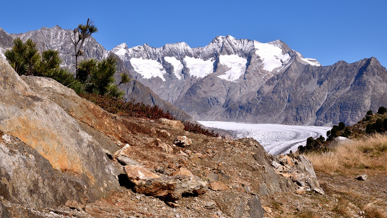 aletsch glacier mountains alpine panorama free photo