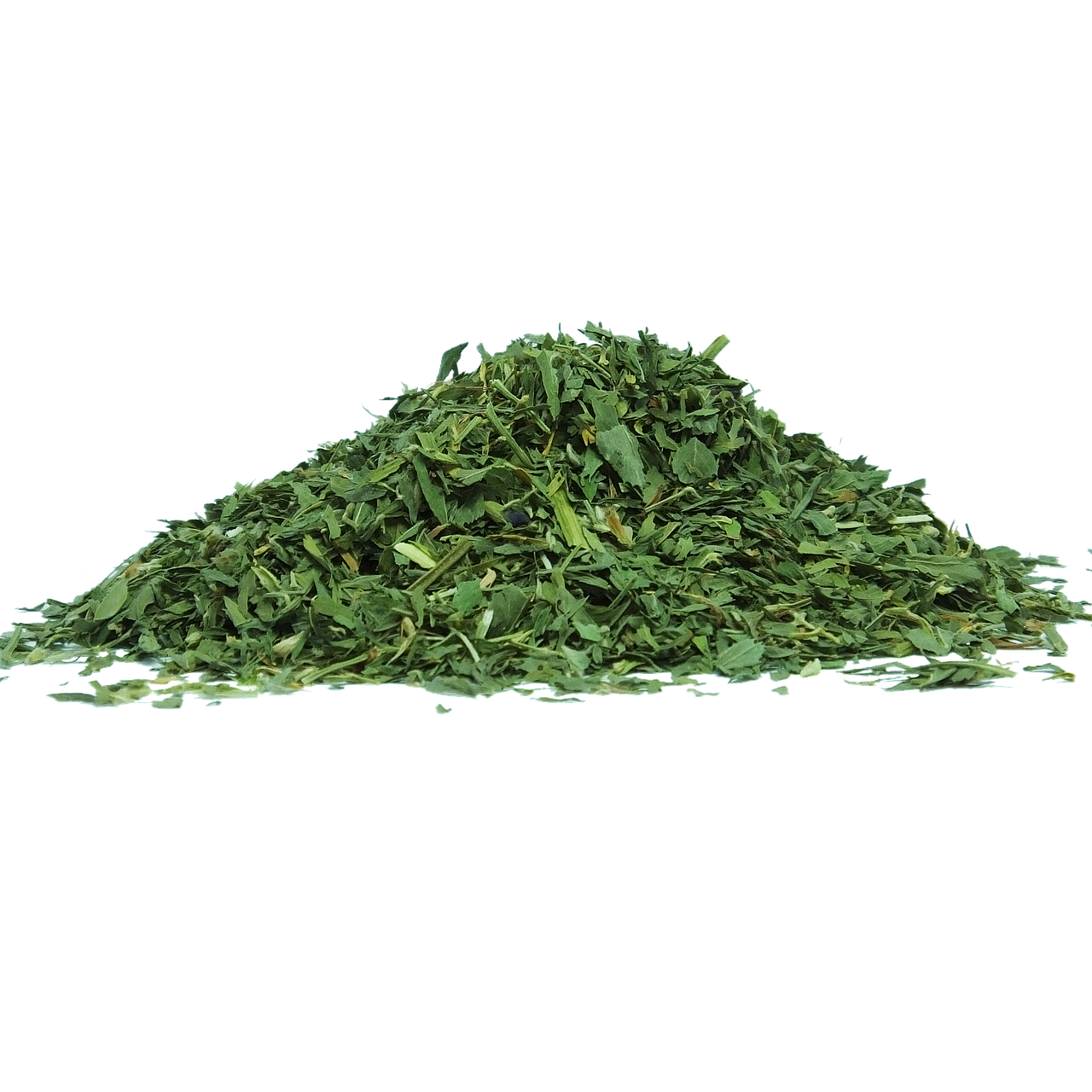 alfalfa leaf nutritious free photo