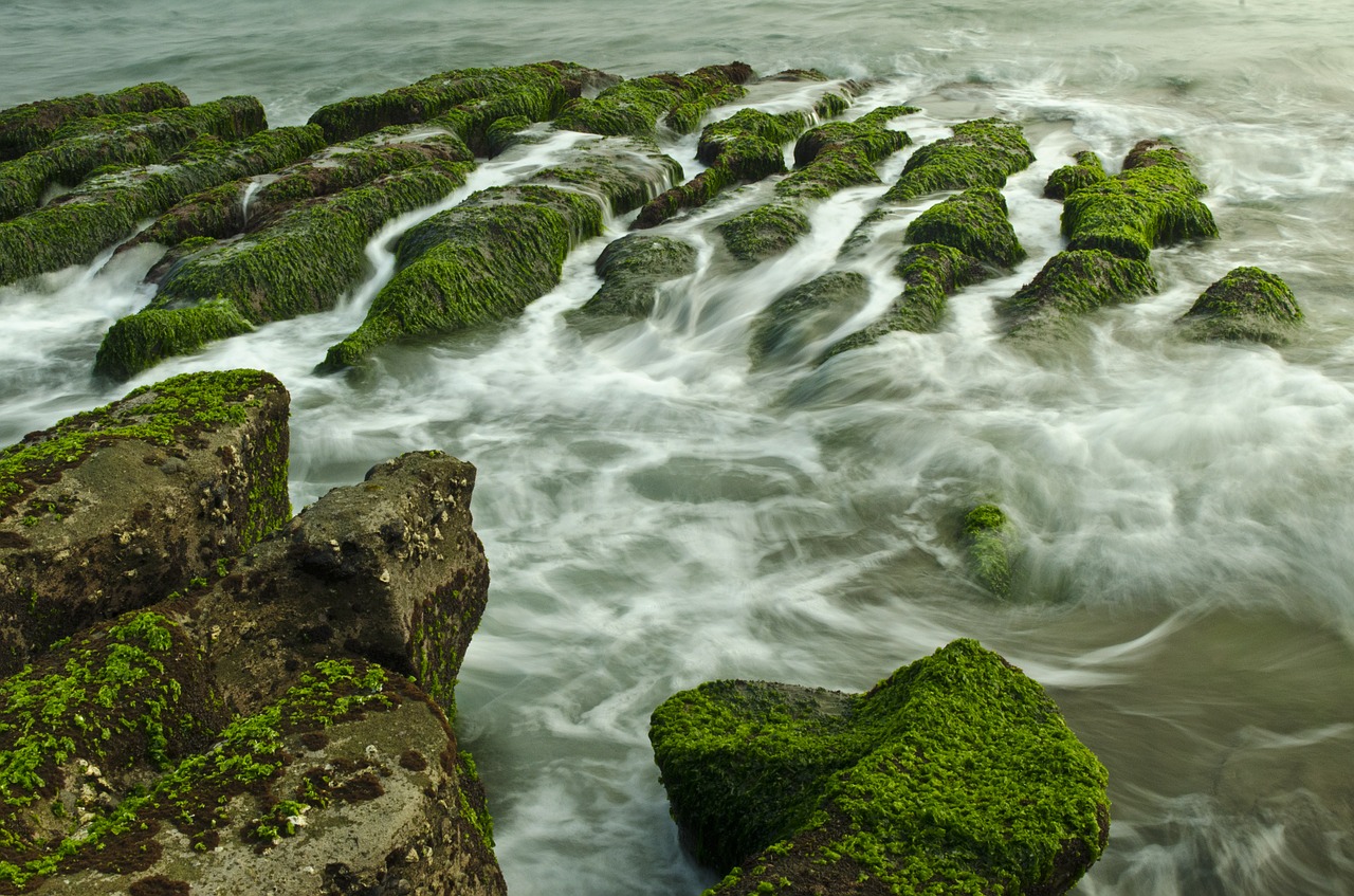 algal reef landscape hai bian free photo