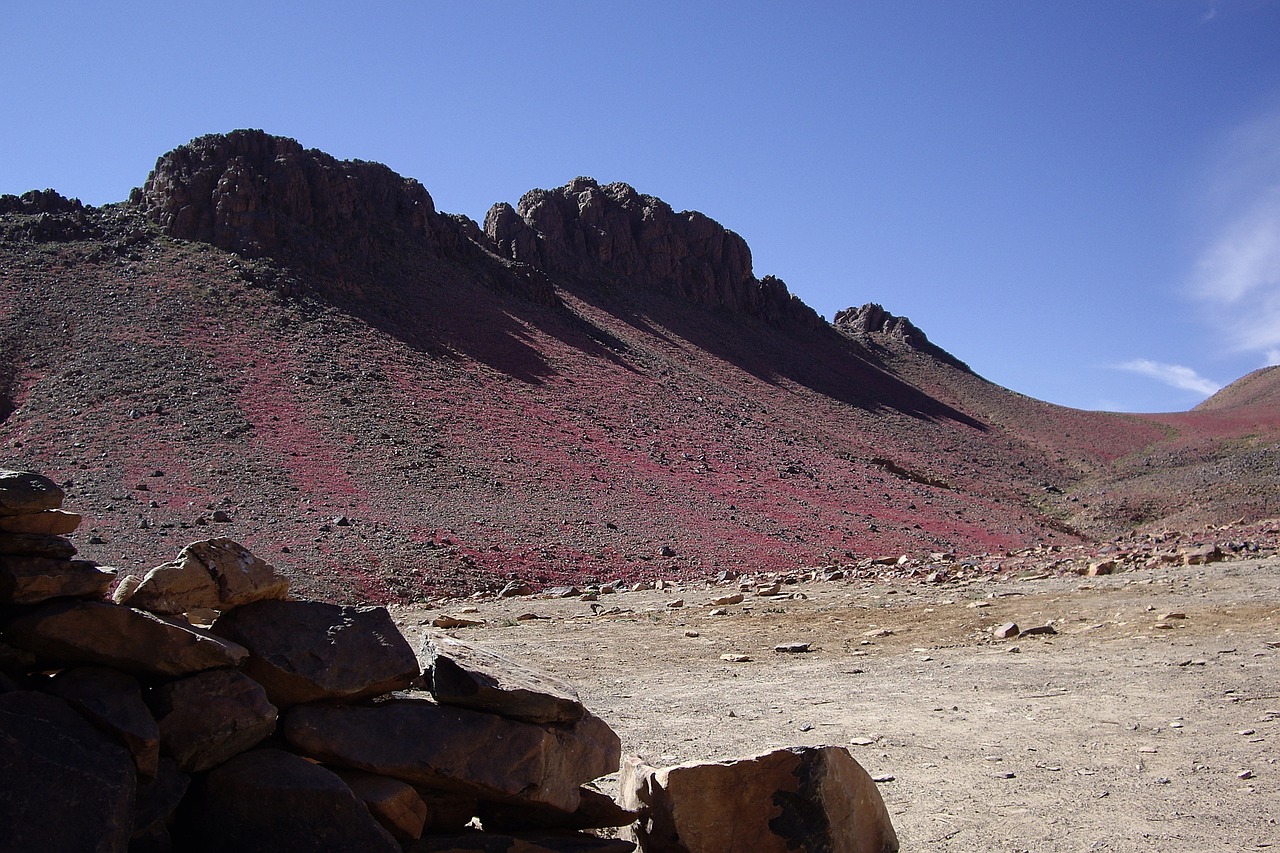 algeria desert sahara free photo