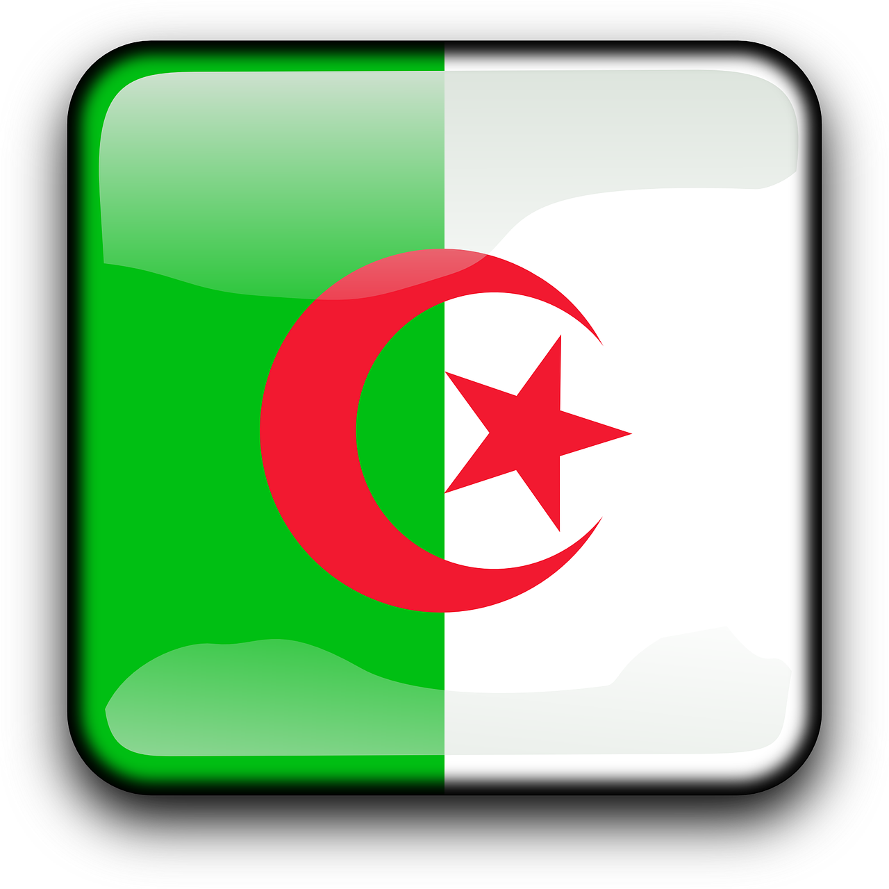 algeria flag country free photo