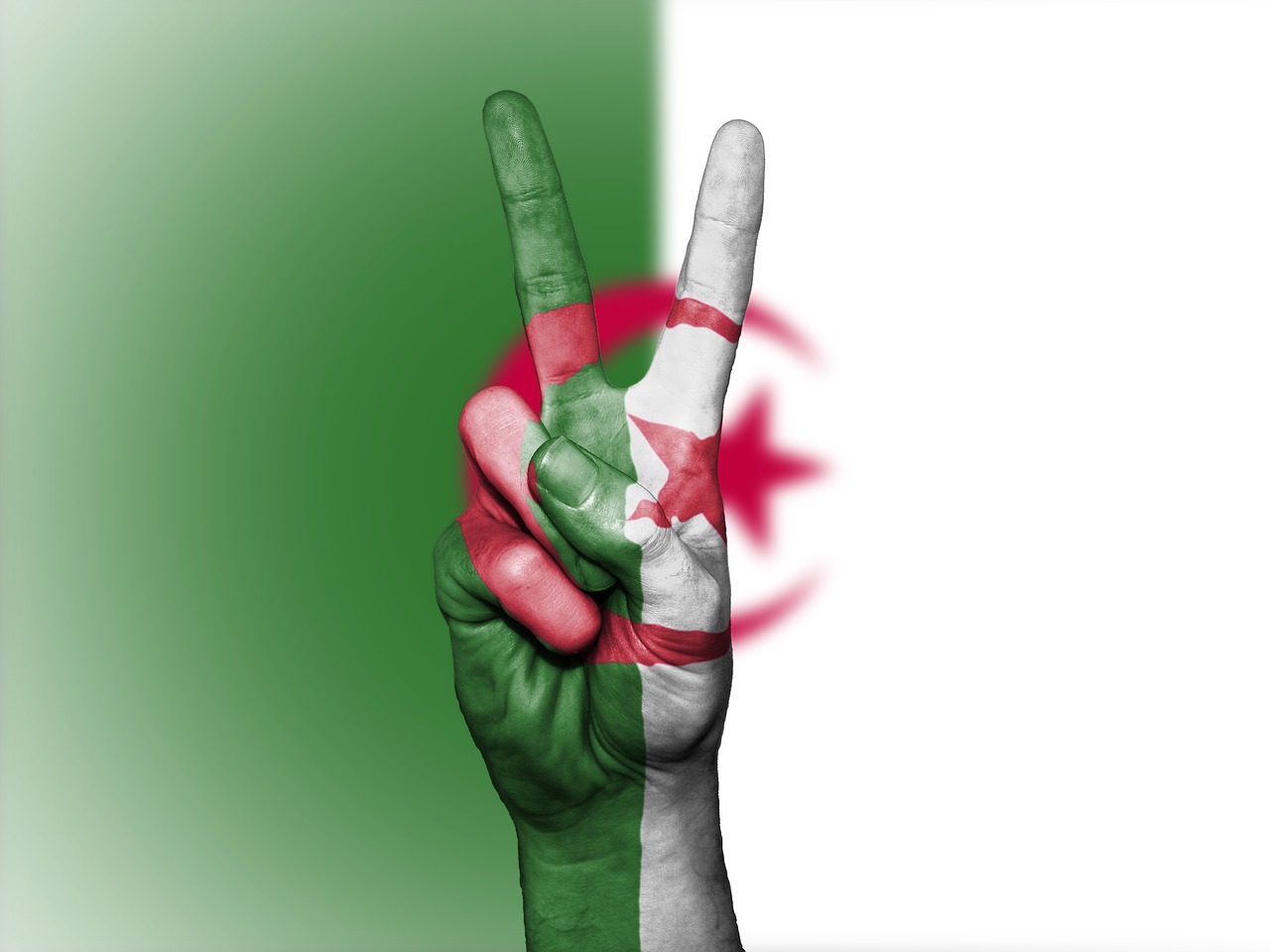 algeria flag peace free photo