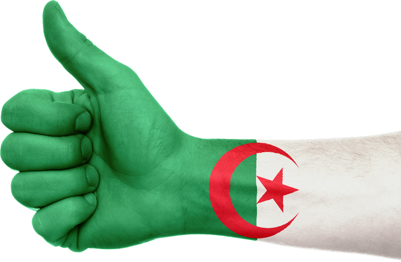 algeria hand flag free photo