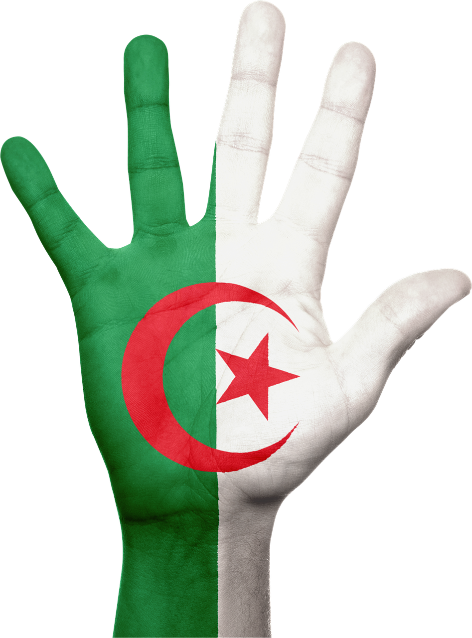 algeria hand flag free photo