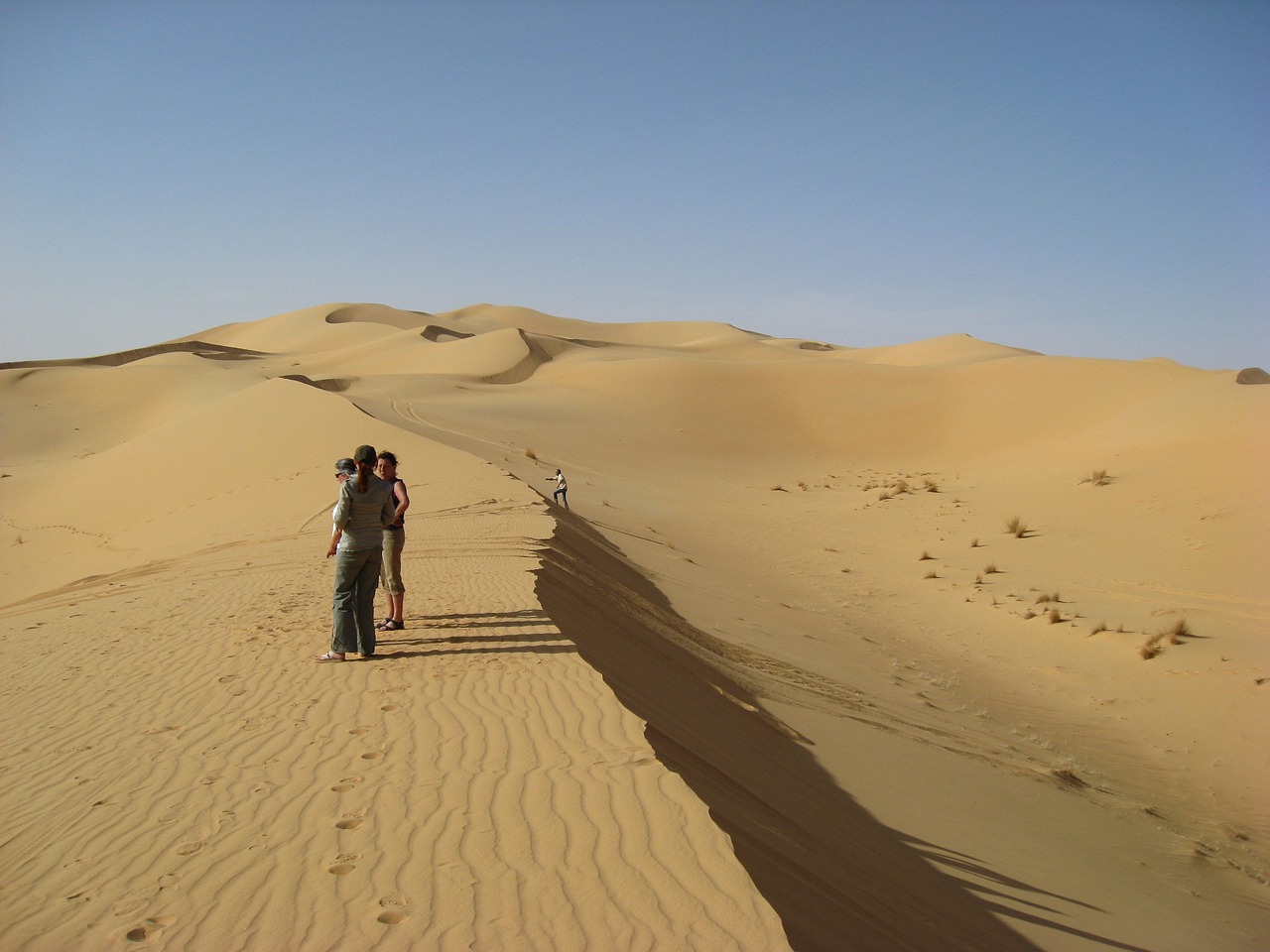 algeria sahara dunes free photo