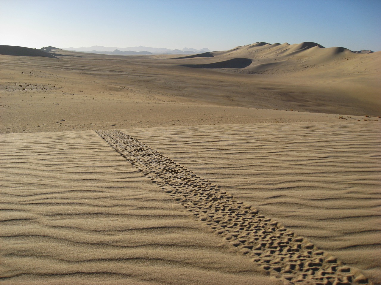 algeria sahara desert free photo