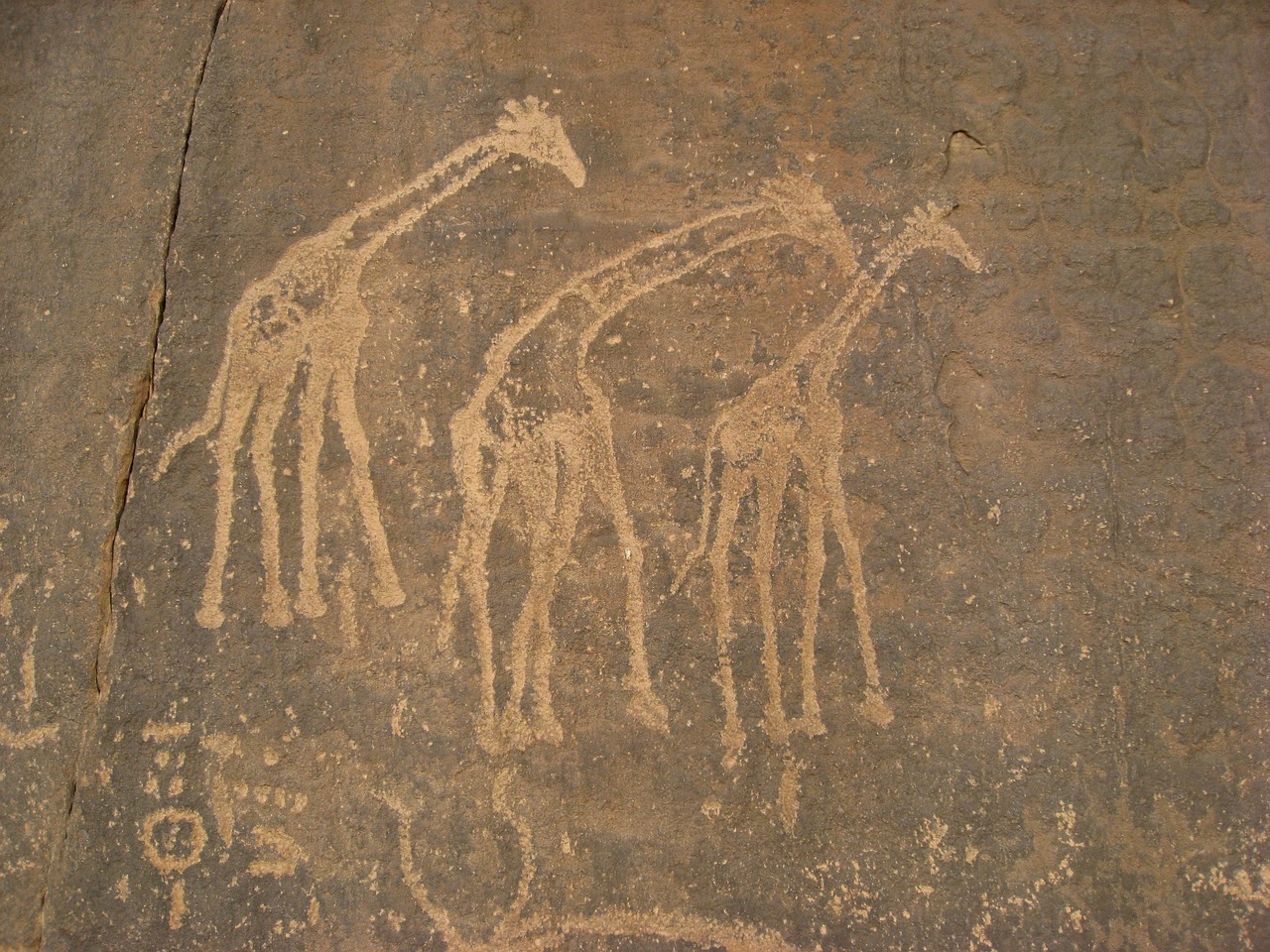algeria cave paintings ancient writing free photo