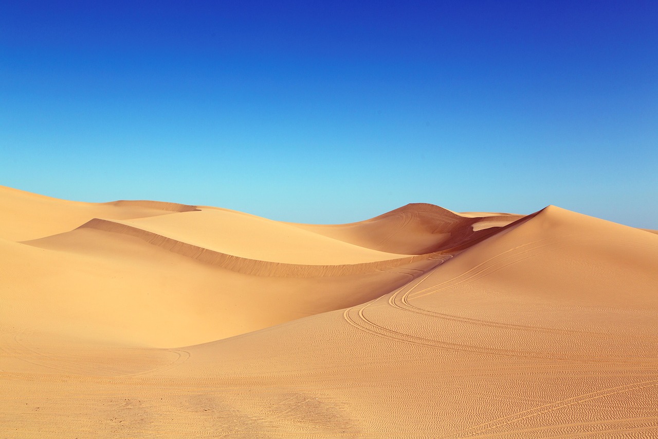 desert dune algodones dunes free photo