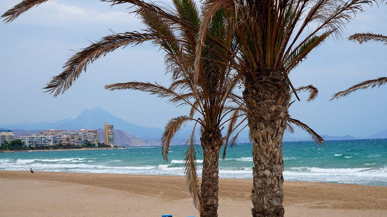 alicante spain tourism free photo