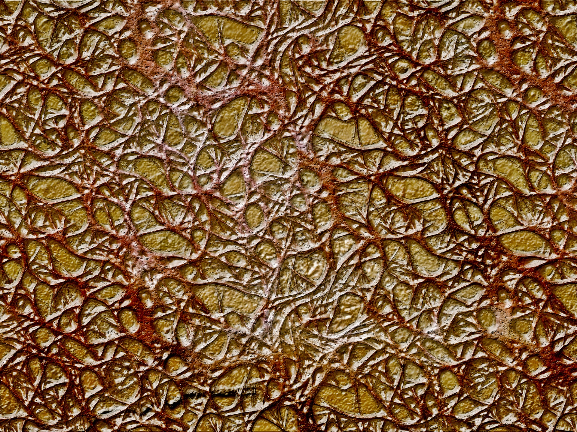 pattern texture surface free photo