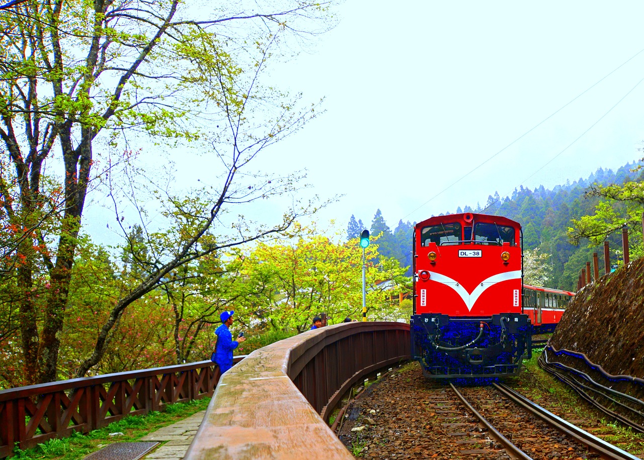 alishan  train  landscape free photo