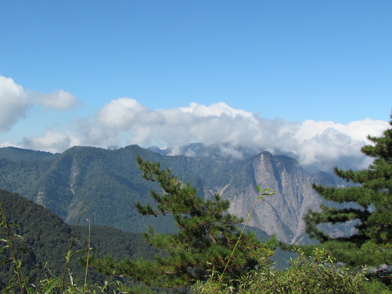 alishan national park aoyama natural free photo