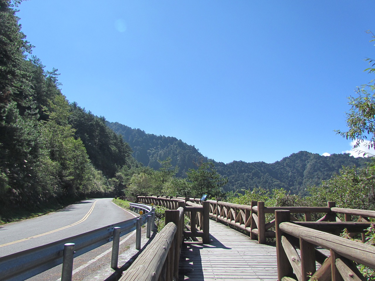 alishan national park mountain natural free photo