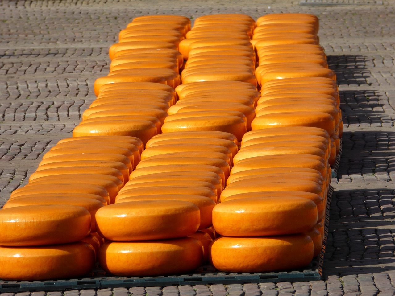 alkmaar cheese market cheese free photo