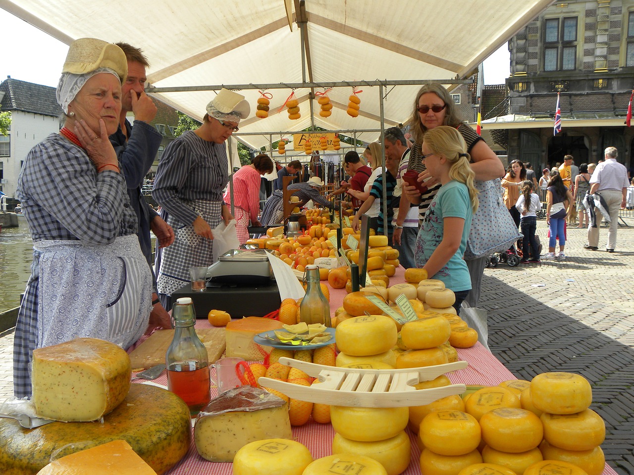 alkmaar cheese cheese market free photo
