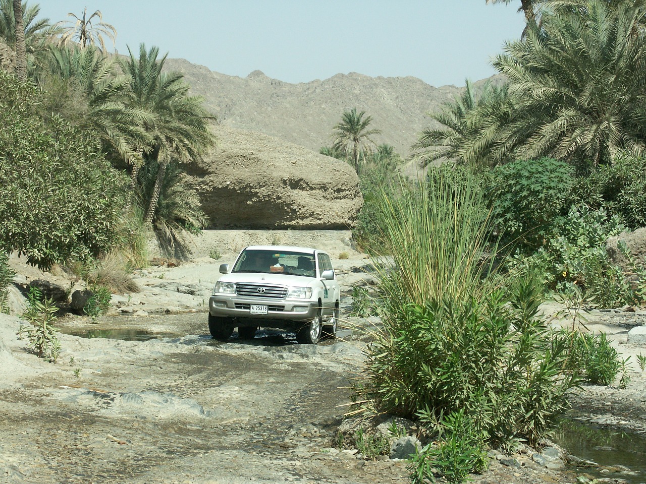 all terrain vehicle toyota desert free photo
