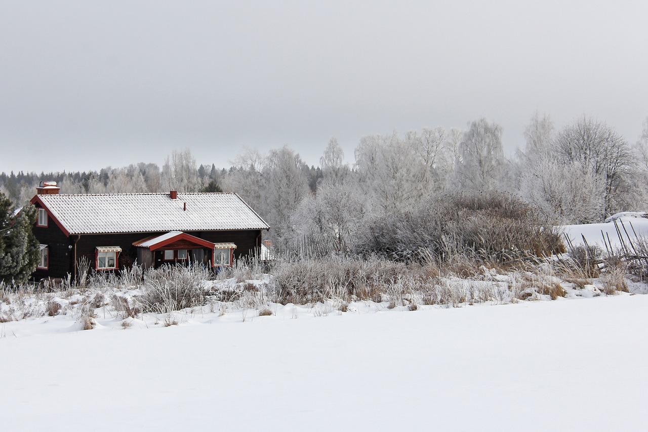 all white cover snow free photo