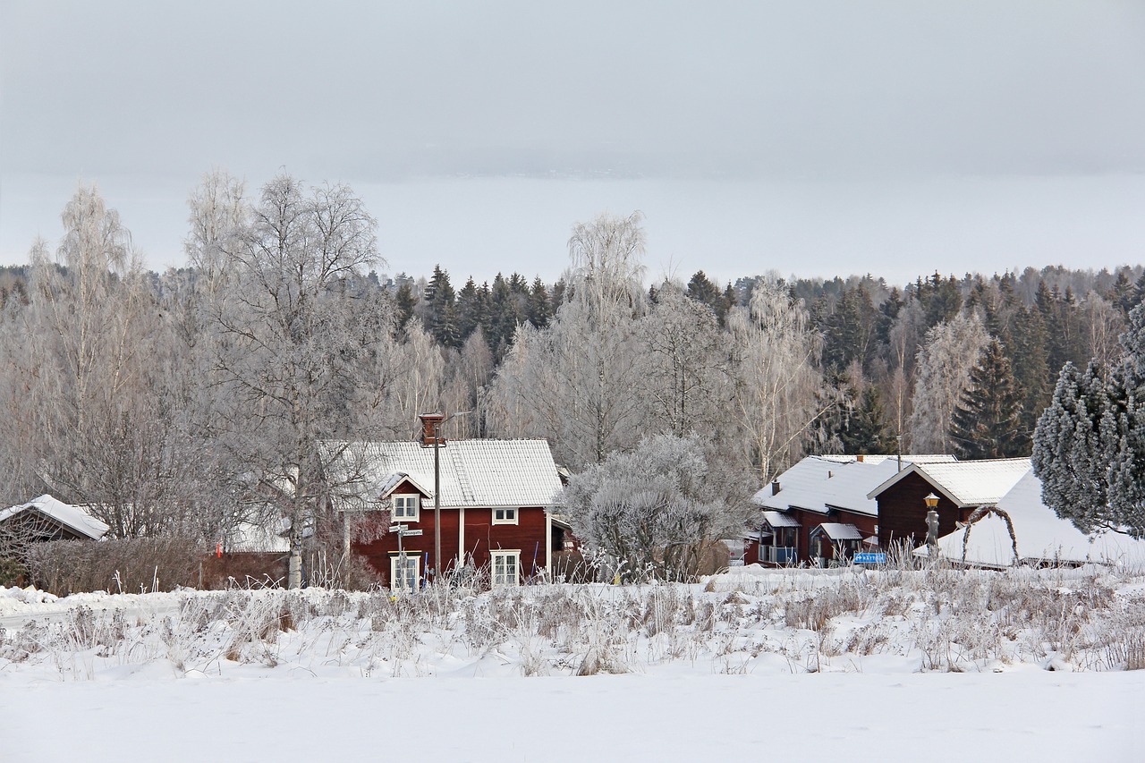 all white cover snow free photo